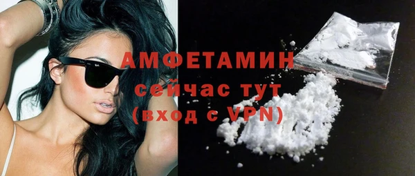 шишки Гусь-Хрустальный