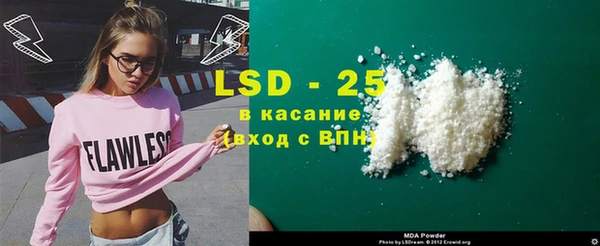 шишки Гусь-Хрустальный