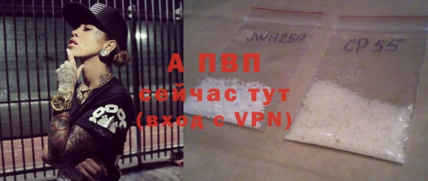 шишки Гусь-Хрустальный
