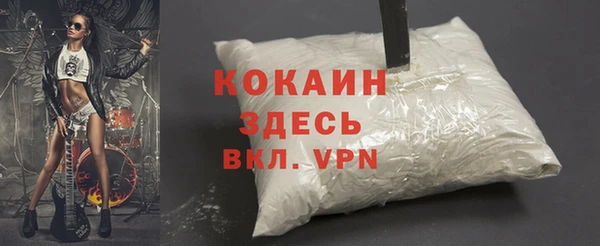 шишки Гусь-Хрустальный