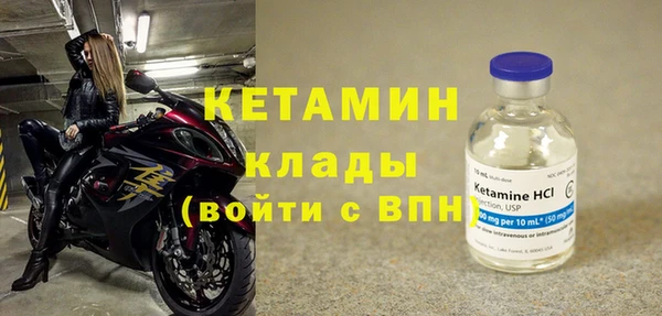 шишки Гусь-Хрустальный