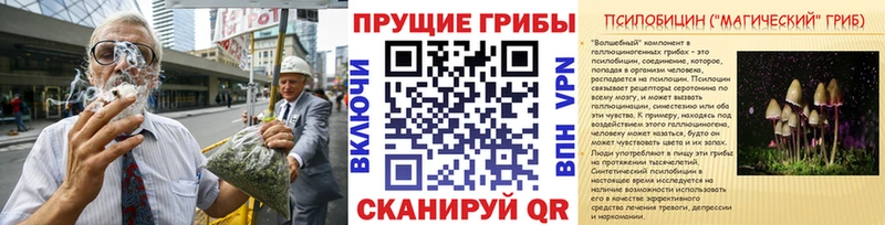 Псилоцибиновые грибы GOLDEN TEACHER  Купить где  Чистополь 